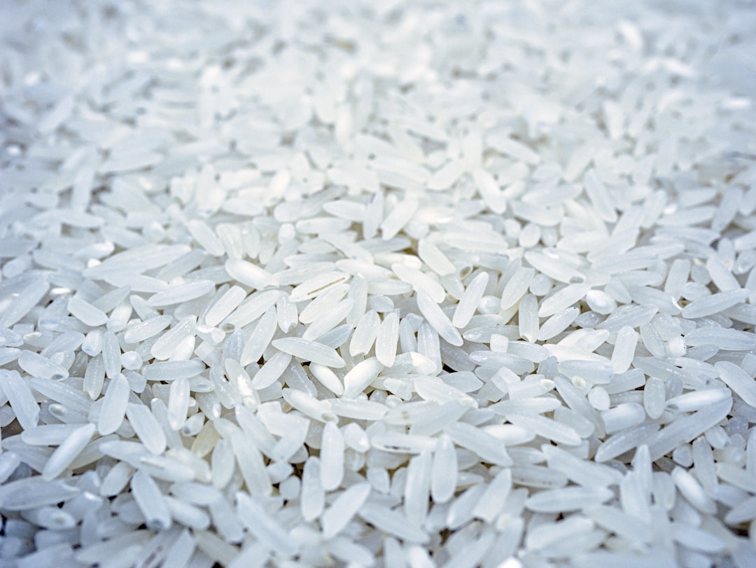 Photo rice suspension